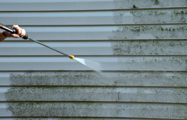 Alamo, TX Pressure Washing Services Company
